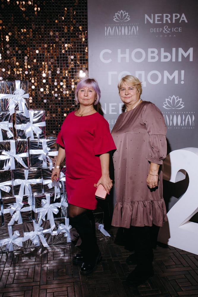 слайд №21 : Концерт Владимира Преснякова 